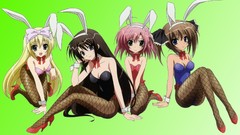 Anime Ribbons anime girls Bunnies seitokai no ichizon sakurano 