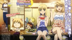 Anime saber anime girls arcueid brunestud emiya shirou Carnival 