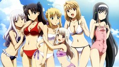 Anime saber Beaches fate stay night arcueid brunestud tsukihime 