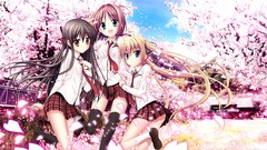 Anime sakura blondes pink hair long hair anime girls blue eyes 