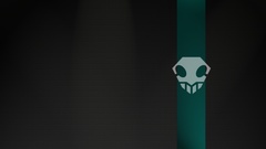 Anime skulls bleach minimalistic carbon fiber