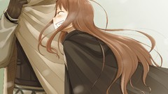 Anime spice and wolf animal ears craft lawrence artwork Holo 