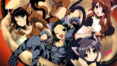 Anime suzumiya haruhi nekomimi animal ears Tsuruya (The 