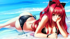 Anime swimsuits anime girls
