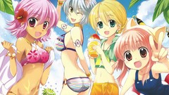 Anime twilight Beaches legend animal ears hack bikini hotaru 