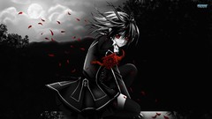 Anime vampire knight Yuki Kuran