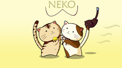 Animepaper amazing neco cats