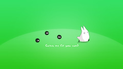 Animepaper My Neighbor totoro