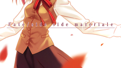 Animepaper scans fate Stay