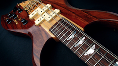 Anonymous bass guitars guitar