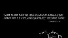 Anonymous dead Evolution