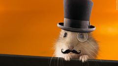 Anonymous funny mustache gerbils