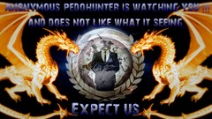 Anonymous pedohunters