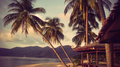 Another high shoopfag Resolution besticould reportan