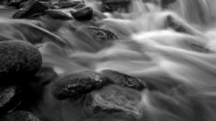 Another Rocky background stream have anyone yet doesn