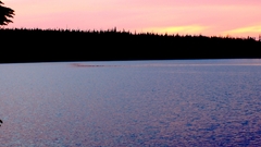 Anything else like This