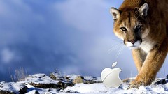 Apples Computers Leopards wildlife mac os x apple inc