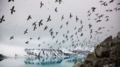 April 2009 eposvriende com