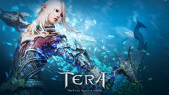 Archers Tera mmorpg High
