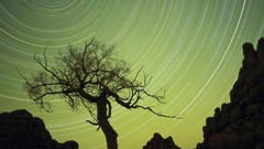 Archigraph 1 Archigraph