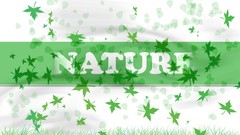 Archigraph Reza farsipack