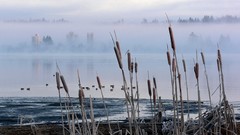 Archigraph Reza farsipack