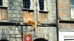 Architecture edinburgh