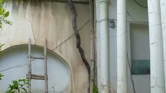 Architecture houses vintage house