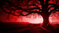 Are high rules Resolution