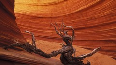 Area canyon Arizona cliffs Formation
