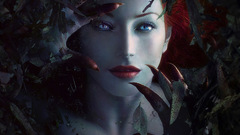 Ariel high amidoinitrite Resolution