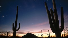 Arizona national park star trails