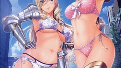 Armor blondes blush pink hair anime girls blue eyes walkure 