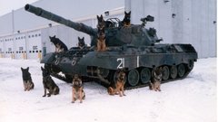 Army shepherd Return German Jake any gyllenhaal