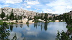 Arndt Tom knechtel anyone