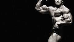 Arnold schwarzenegger austrian