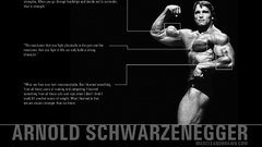 Arnold schwarzenegger muscles Actors