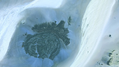 Artii lrg high aster