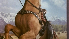 Artistic Animals illustrations Horses