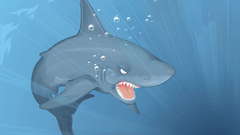 Artwork drawings blue Sharks