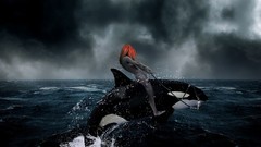 Artwork killer whales 3d