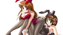Asahina mikuru bunny girls
