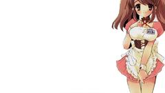 Asahina mikuru the melancholy