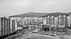 Asia Korea south korea busan pusan