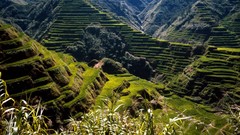 Asia Philippines rice terraces ancient