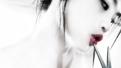 Asians faces white background