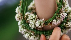 Asians Horikita Maki