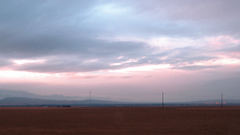 At The thewildhuntbig Stuff