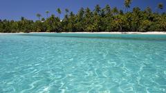 Attempt watto My left