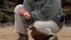 Attenborough on location high